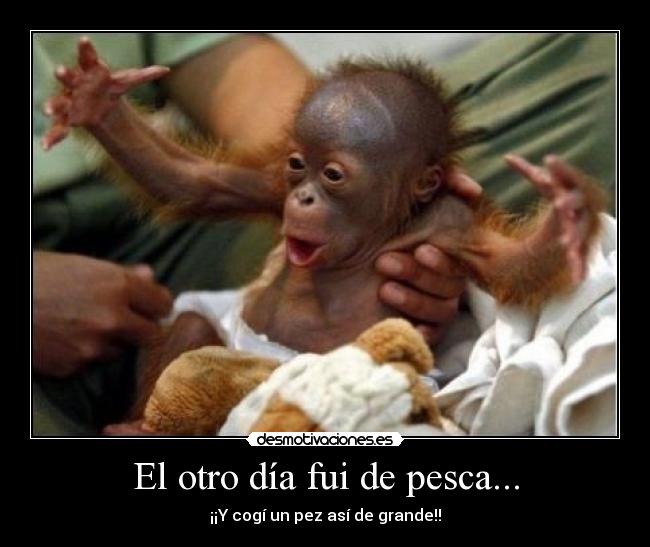El otro día fui de pesca... - ¡¡Y cogí un pez así de grande!!
