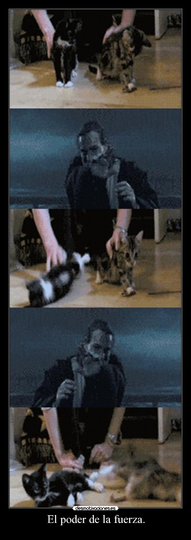 El poder de la fuerza. -