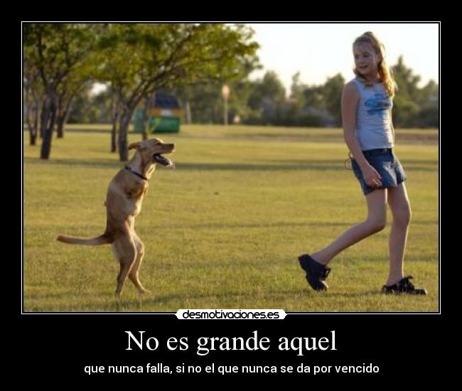 No es grande aquel - que nunca falla, si no el que nunca se da por vencido