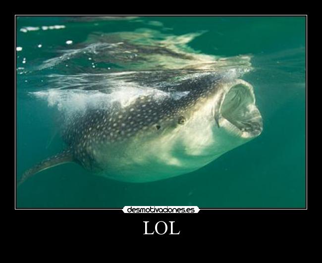 LOL -