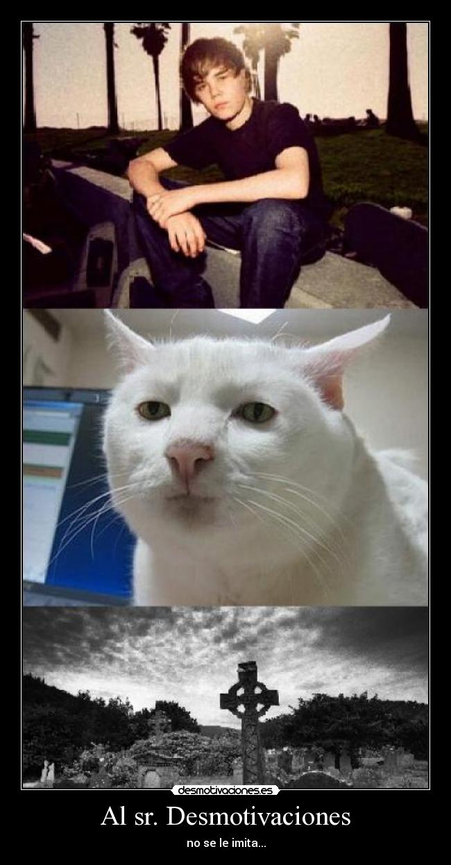 Al sr. Desmotivaciones -