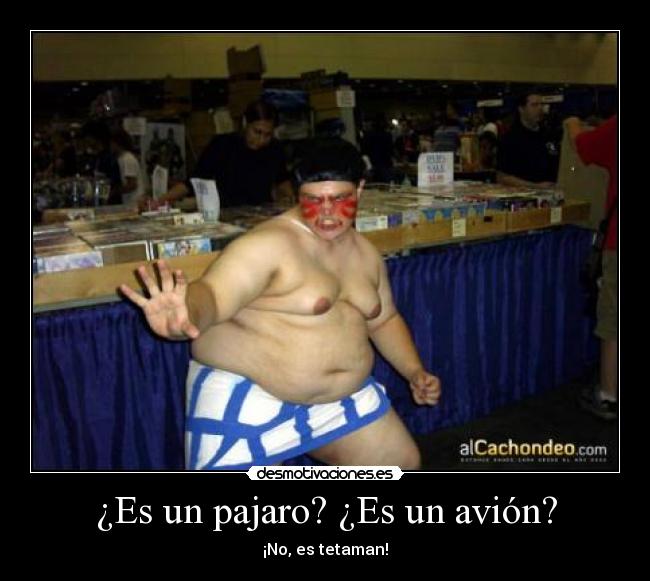 ¿Es un pajaro? ¿Es un avión? - 