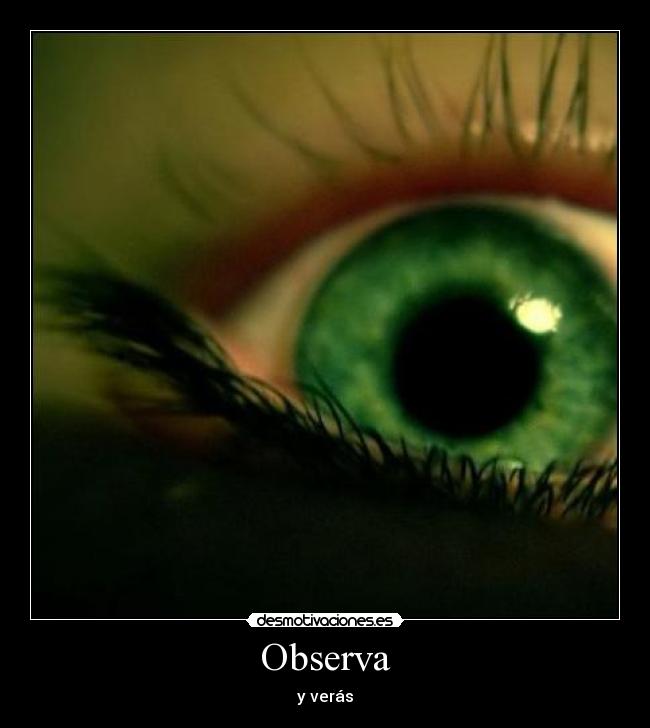 Observa -