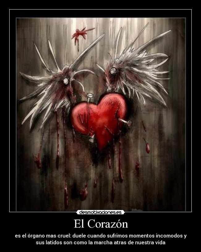 El Corazón - es el órgano mas cruel: duele cuando sufrimos momentos incomodos y
sus latidos son como la marcha atras de nuestra vida