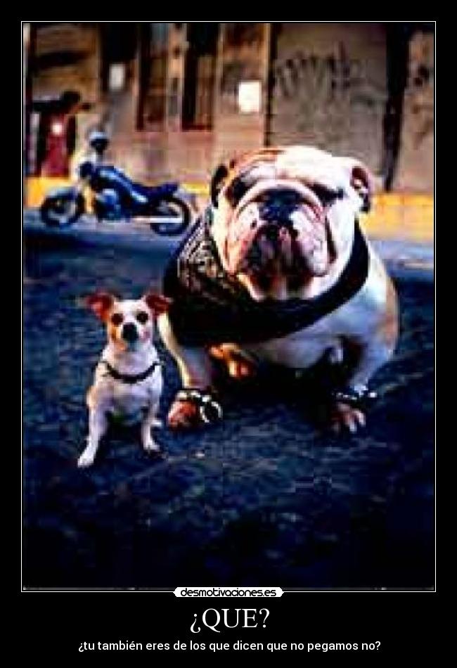 ¿QUE? - ¿tu también eres de los que dicen que no pegamos no?
