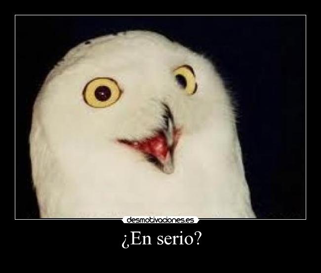 ¿En serio? - 