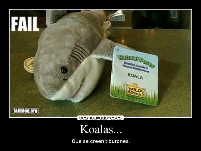 Koalas... -
