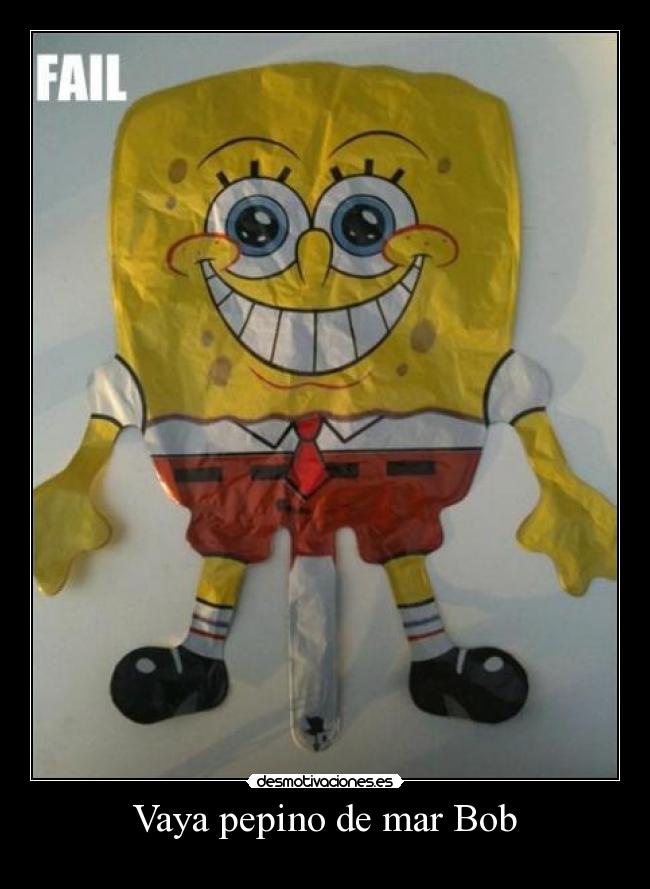 Vaya pepino de mar Bob -