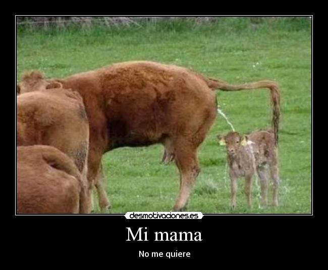 Mi mama - No me quiere