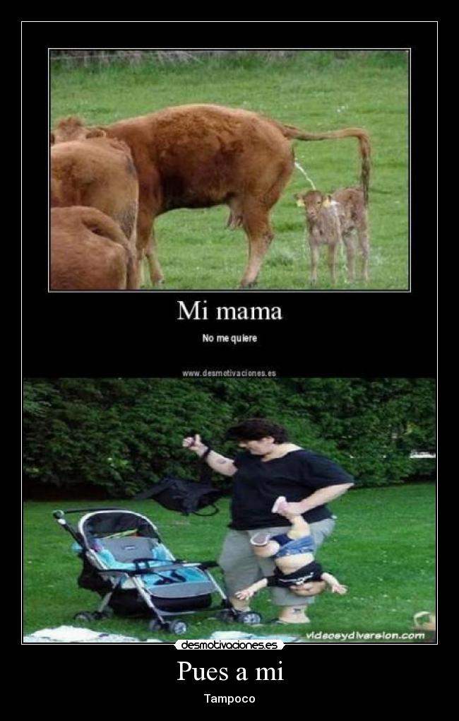 carteles madre mala desmotivaciones