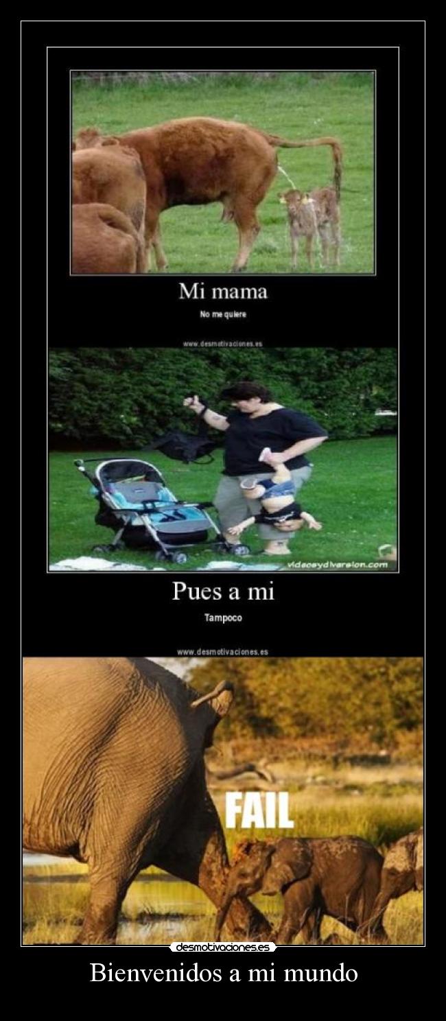 Bienvenidos a mi mundo -