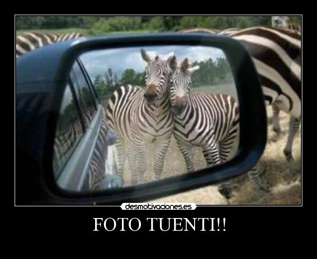 FOTO TUENTI!! - 