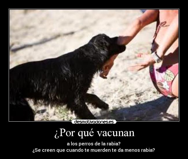 ¿Por qué vacunan -