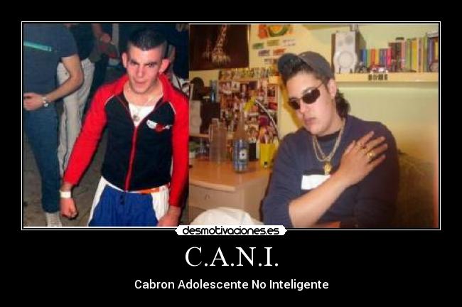 C.A.N.I. - 