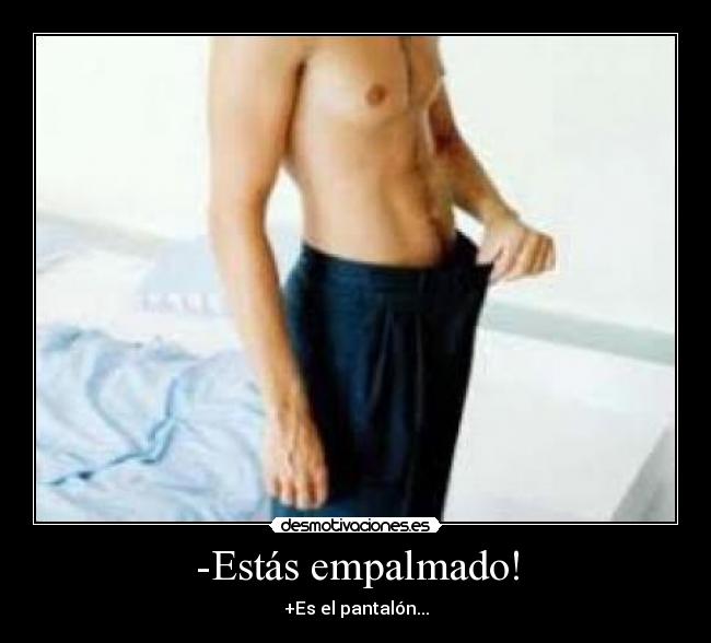 -Estás empalmado! -