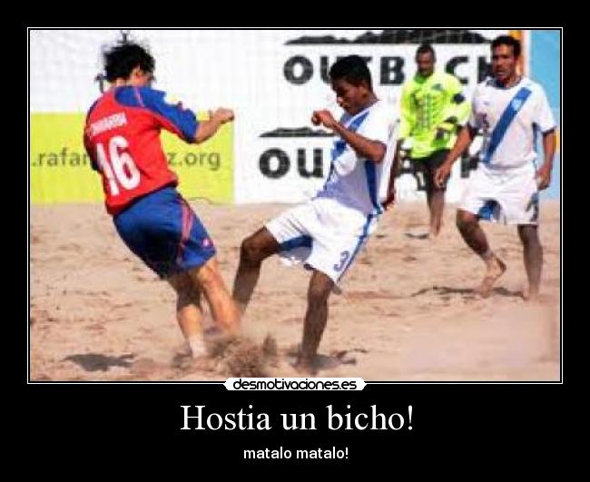 Hostia un bicho! - 