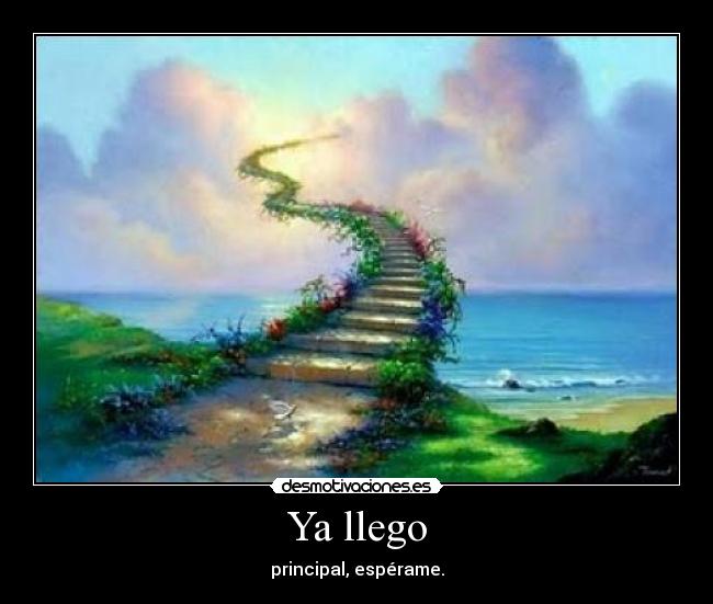 Ya llego -