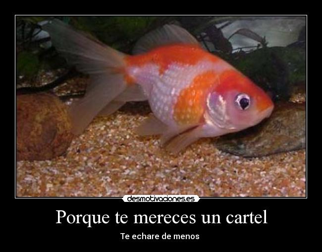 Porque te mereces un cartel -