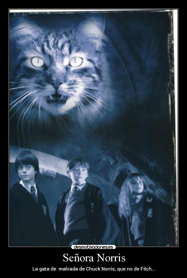 Señora Norris -