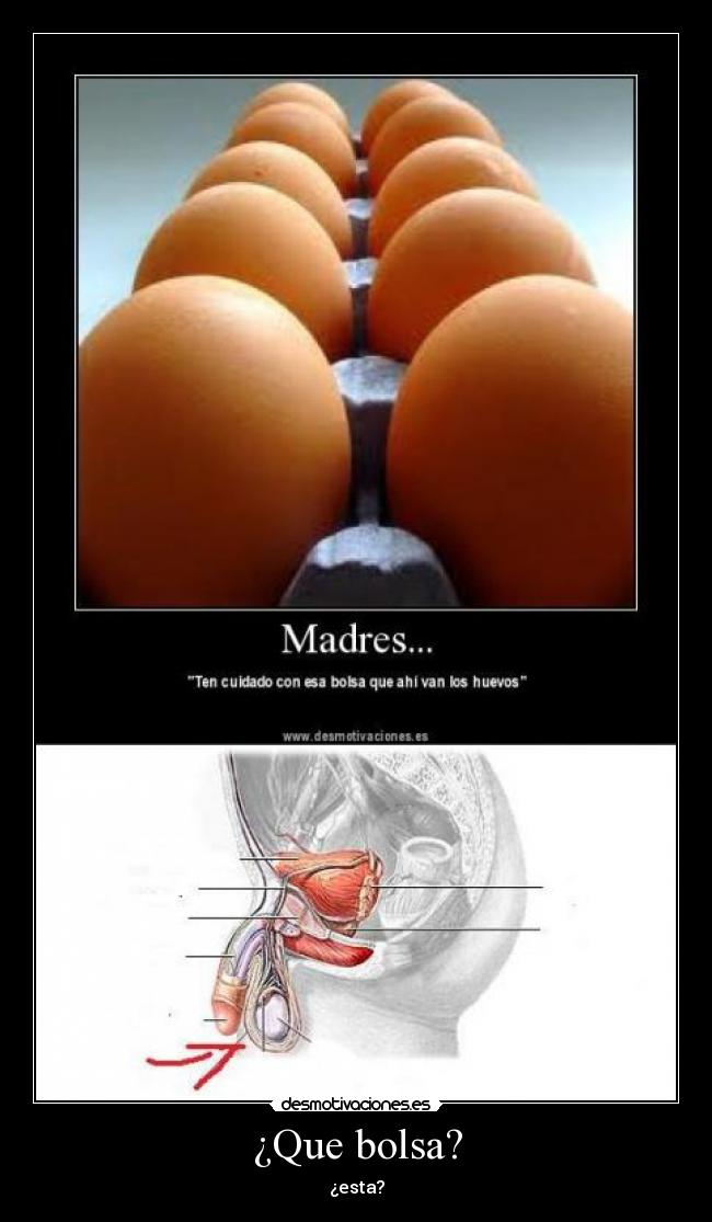 ¿Que bolsa? -