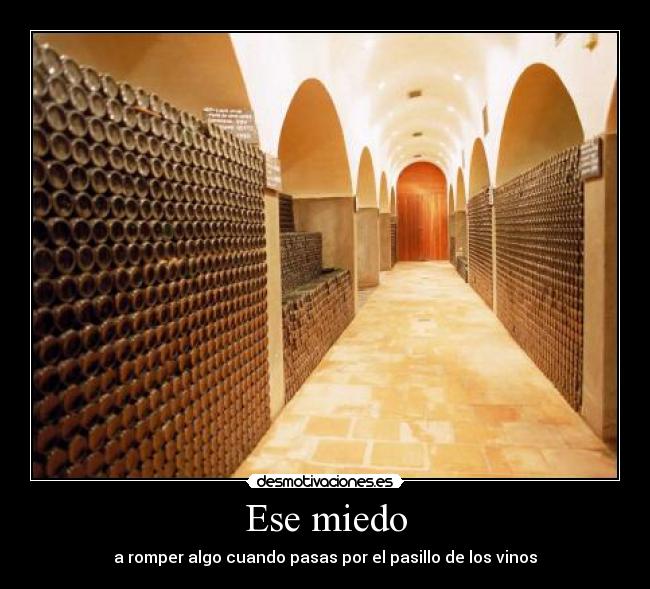 Ese miedo - a romper algo cuando pasas por el pasillo de los vinos