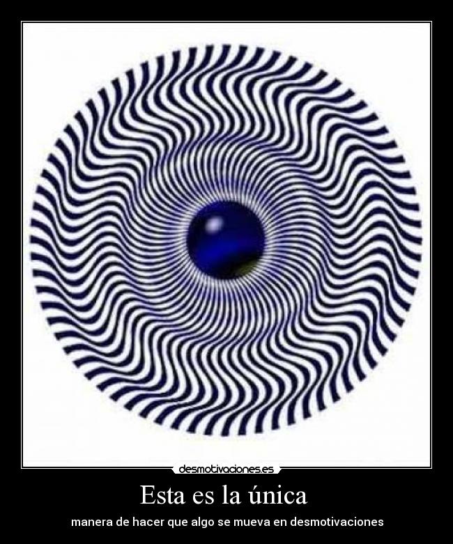 Esta es la única  - 