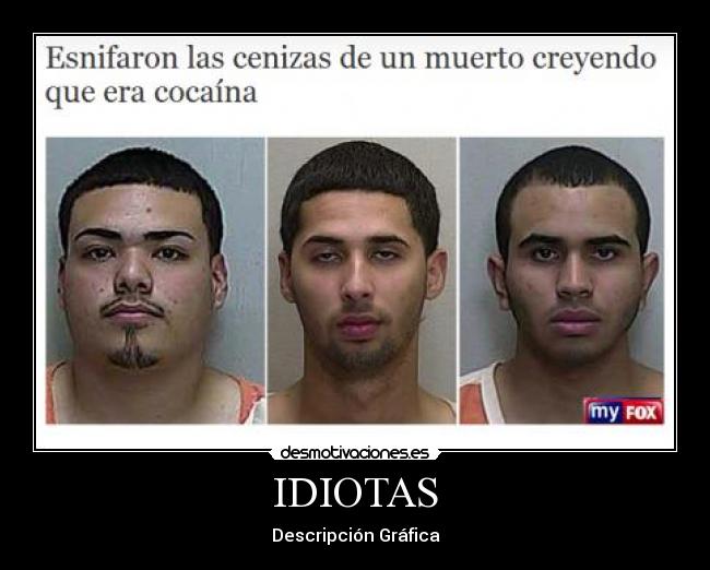 IDIOTAS - Descripción Gráfica