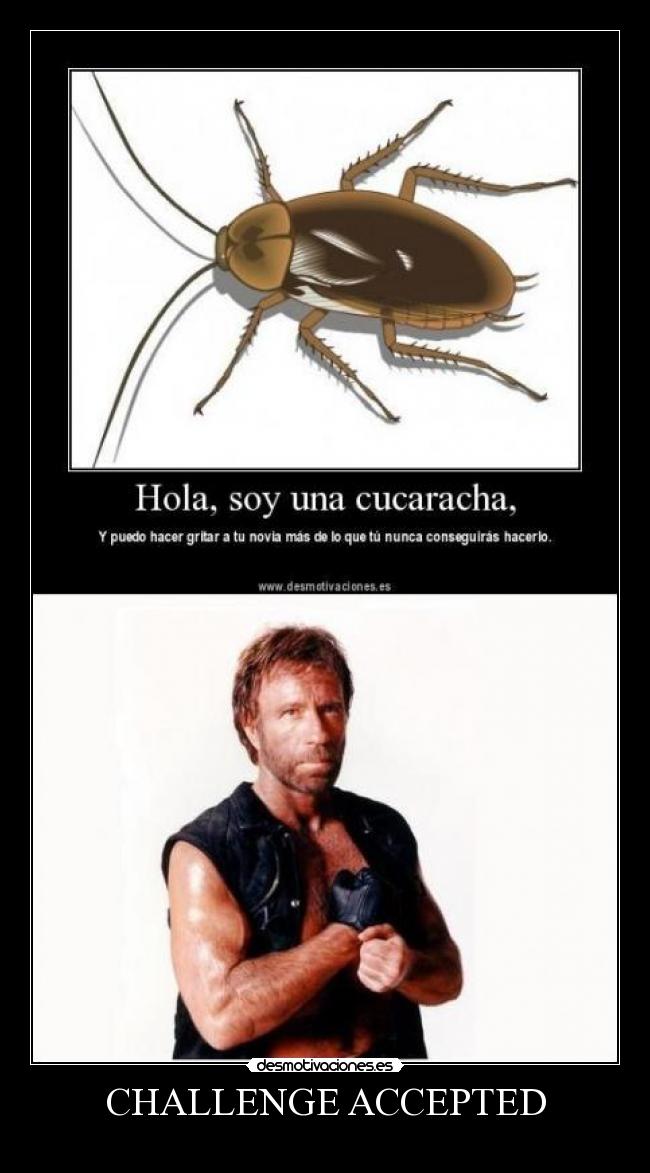 CHALLENGE ACCEPTED -