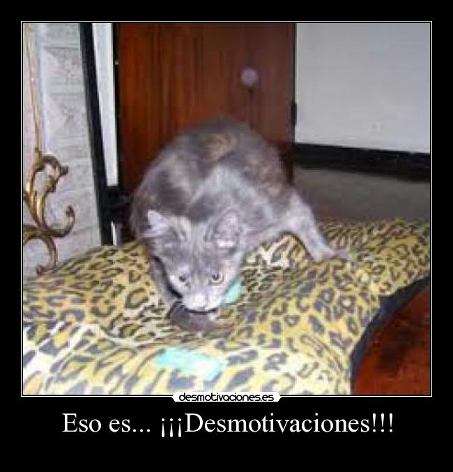 Eso es... ¡¡¡Desmotivaciones!!! - 