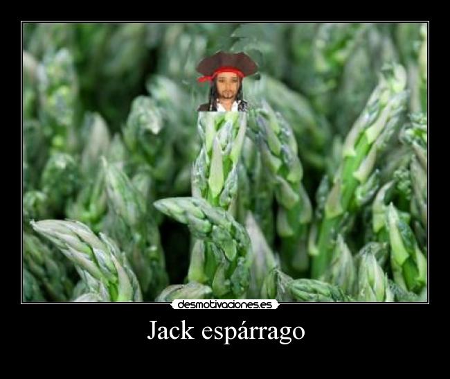 Jack espárrago -