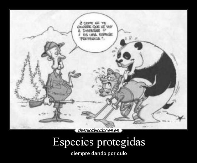 Especies protegidas - 