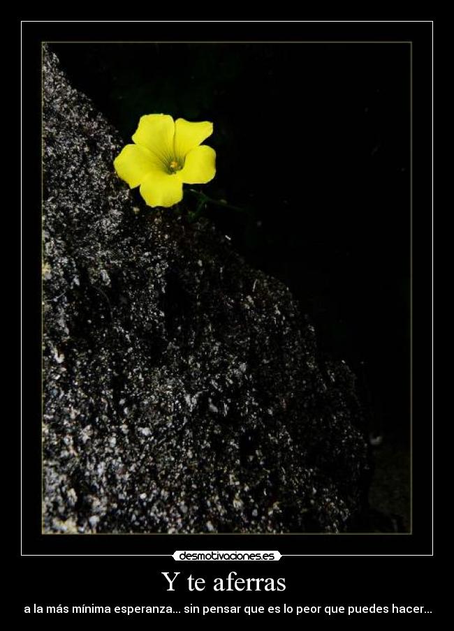 Y te aferras - a la más mínima esperanza... sin pensar que es lo peor que puedes hacer...
