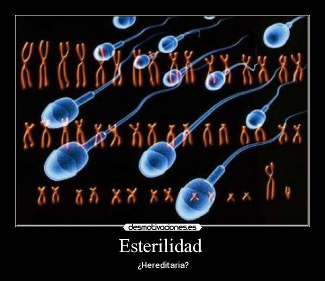 Esterilidad  - 