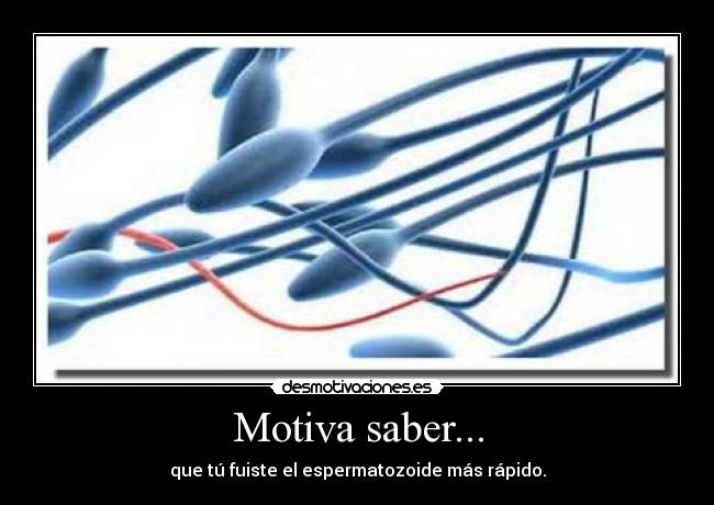 Motiva saber... -