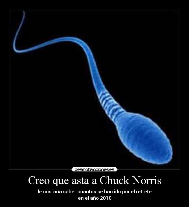 Creo que asta a Chuck Norris - 
