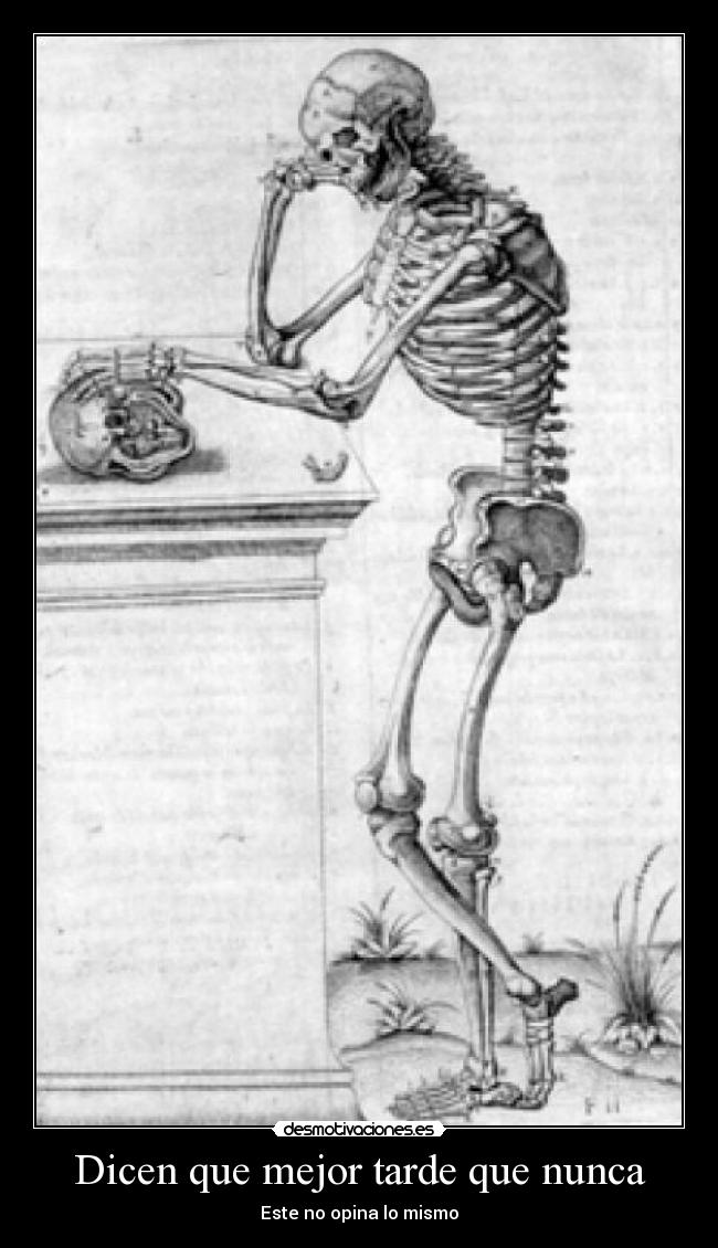 carteles esqueleto desmotivaciones