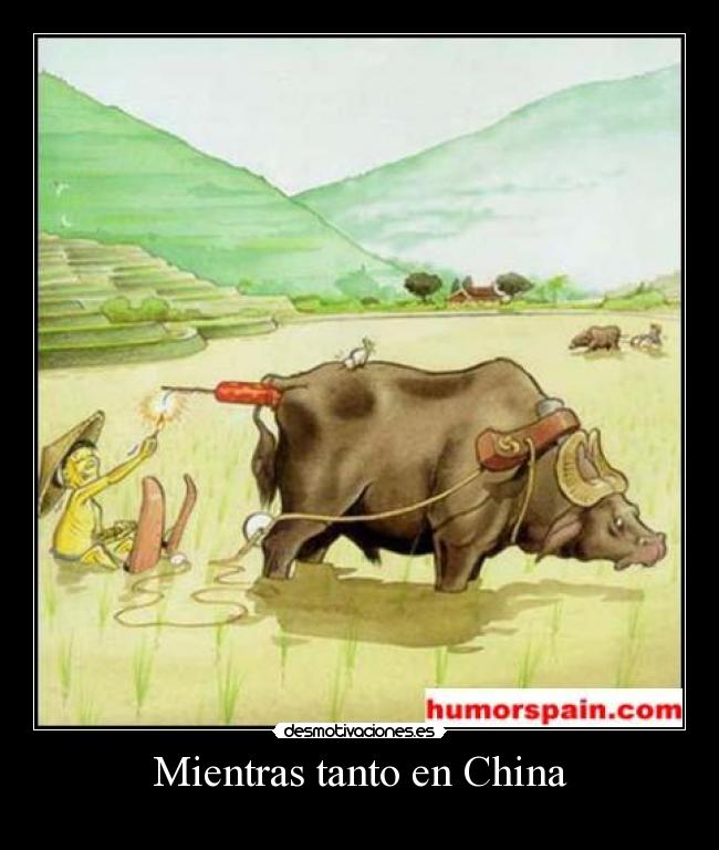 carteles the stereo desmotivaciones