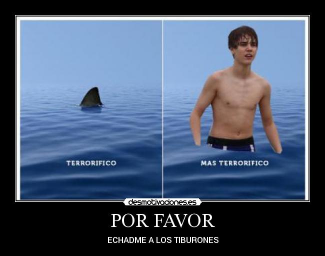 POR FAVOR - ECHADME A LOS TIBURONES