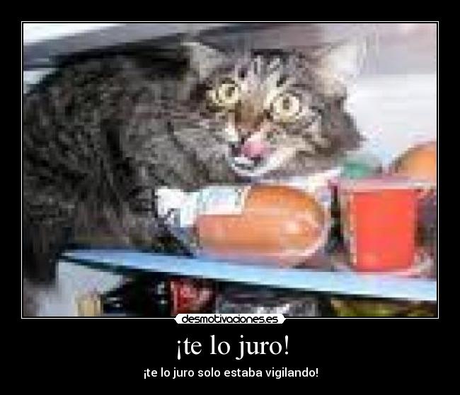 ¡te lo juro! - 