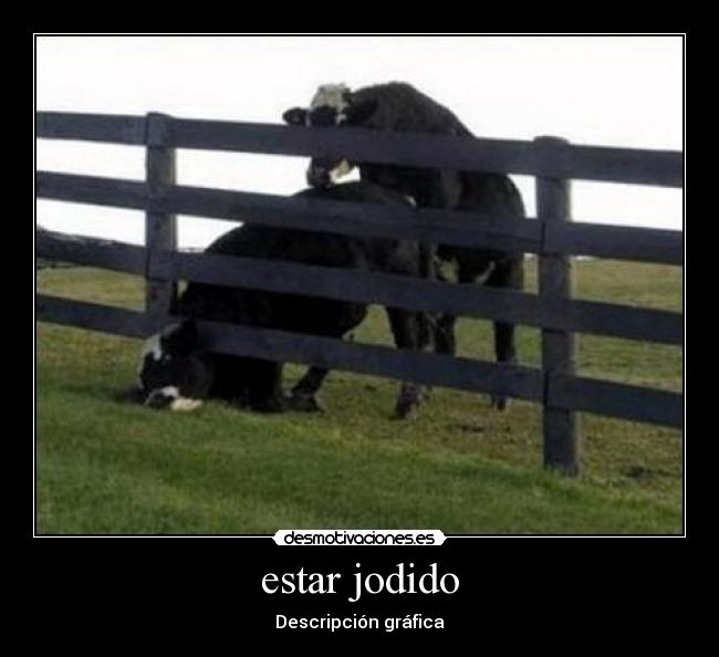 estar jodido - 