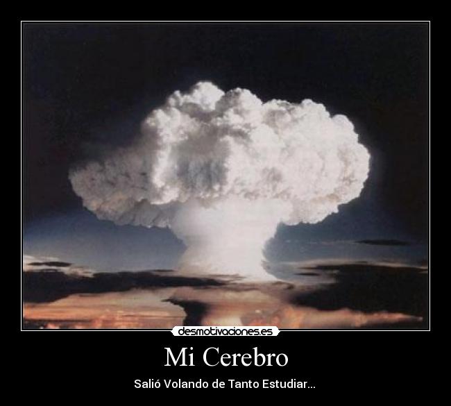 Mi Cerebro - 