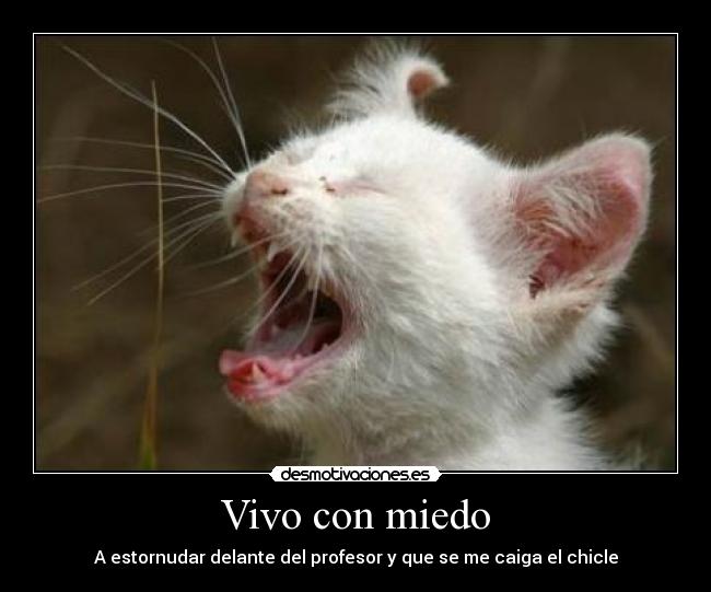 Vivo con miedo - A estornudar delante del profesor y que se me caiga el chicle