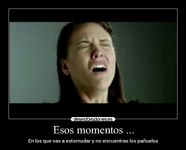 Esos momentos ... - En los que vas a estornudar y no encuentras los pañuelos