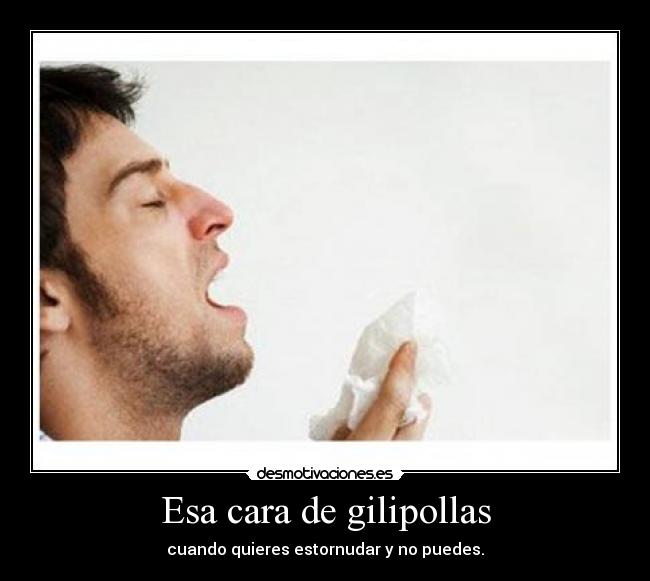 Esa cara de gilipollas - cuando quieres estornudar y no puedes.