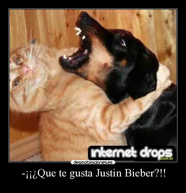 -¡¡¿Que te gusta Justin Bieber?!! - 