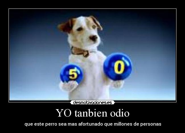 YO tanbien odio -