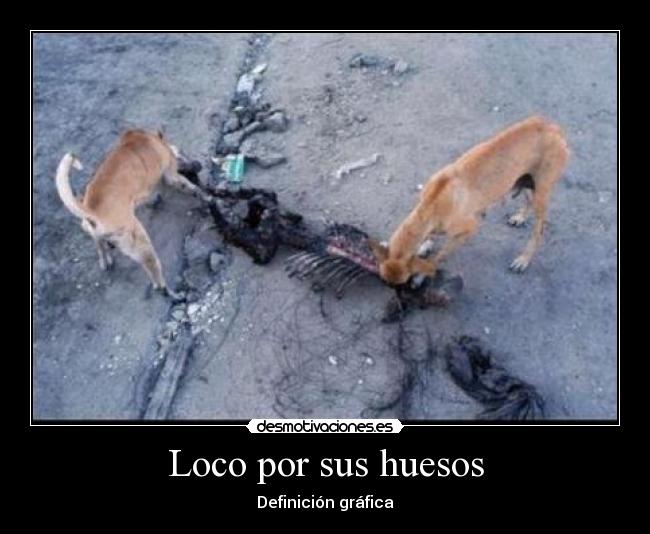 Loco por sus huesos -