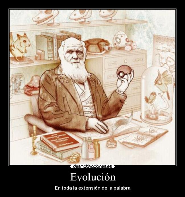 Evolución -