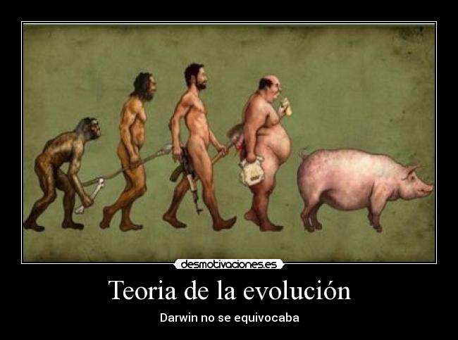 Teoria de la evolución - Darwin no se equivocaba