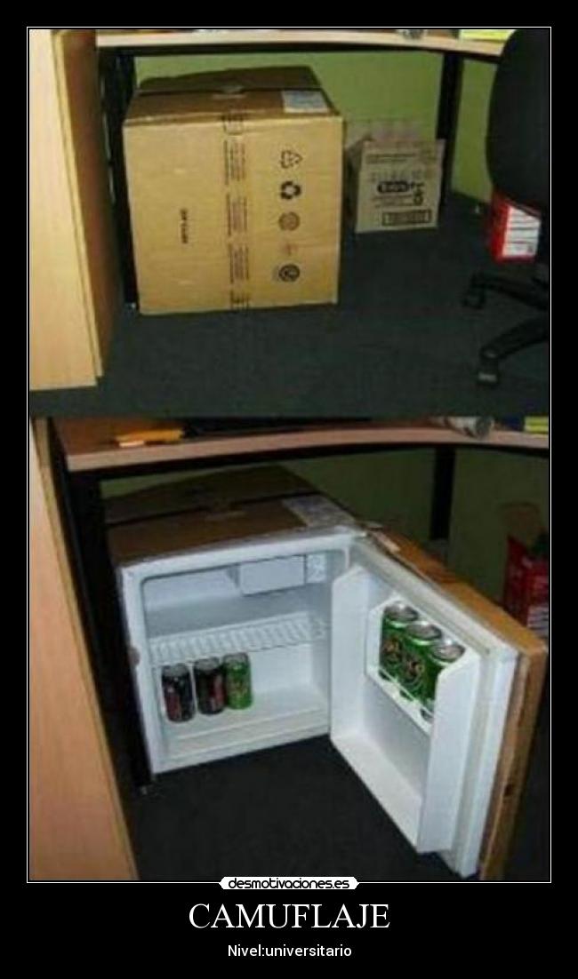 CAMUFLAJE - Nivel:universitario